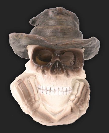 Cowboy Skull