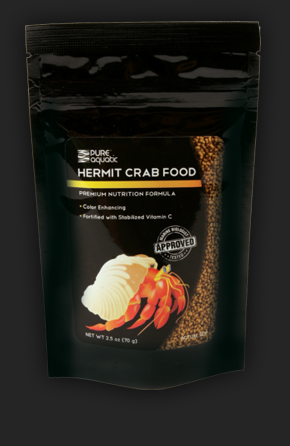 Hermit Crab Food